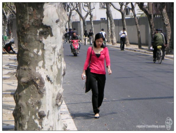 MINOLTA DIGITAL CAMERA