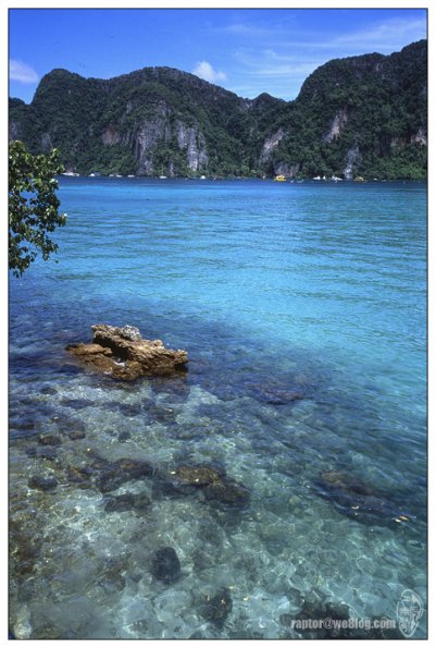 Phi Phi Don Island